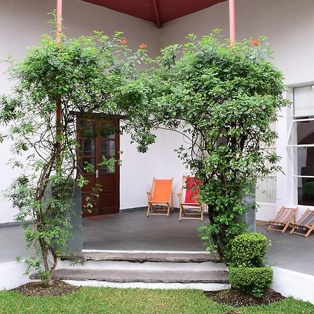 Отель La Casa De Las Magnolias Coyoacan Экстерьер фото