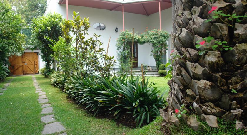 Отель La Casa De Las Magnolias Coyoacan Экстерьер фото
