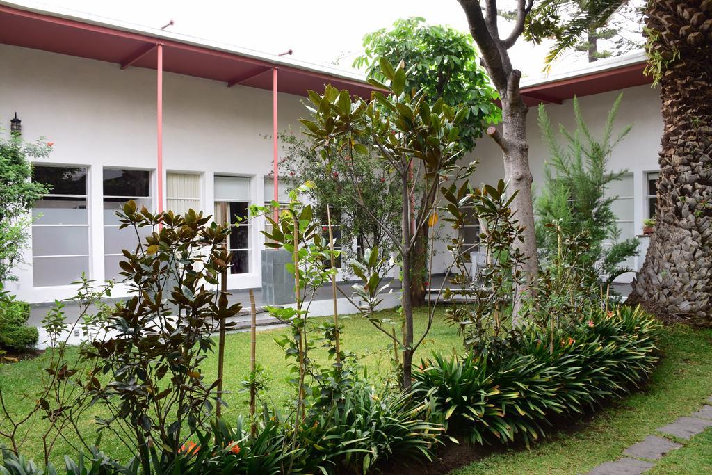Отель La Casa De Las Magnolias Coyoacan Экстерьер фото