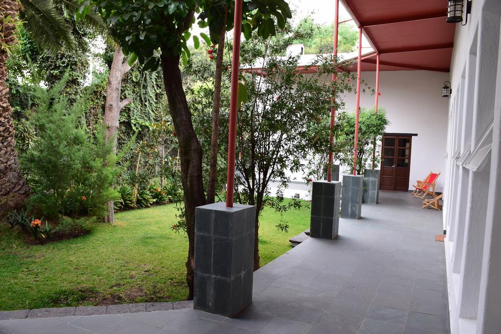 Отель La Casa De Las Magnolias Coyoacan Экстерьер фото