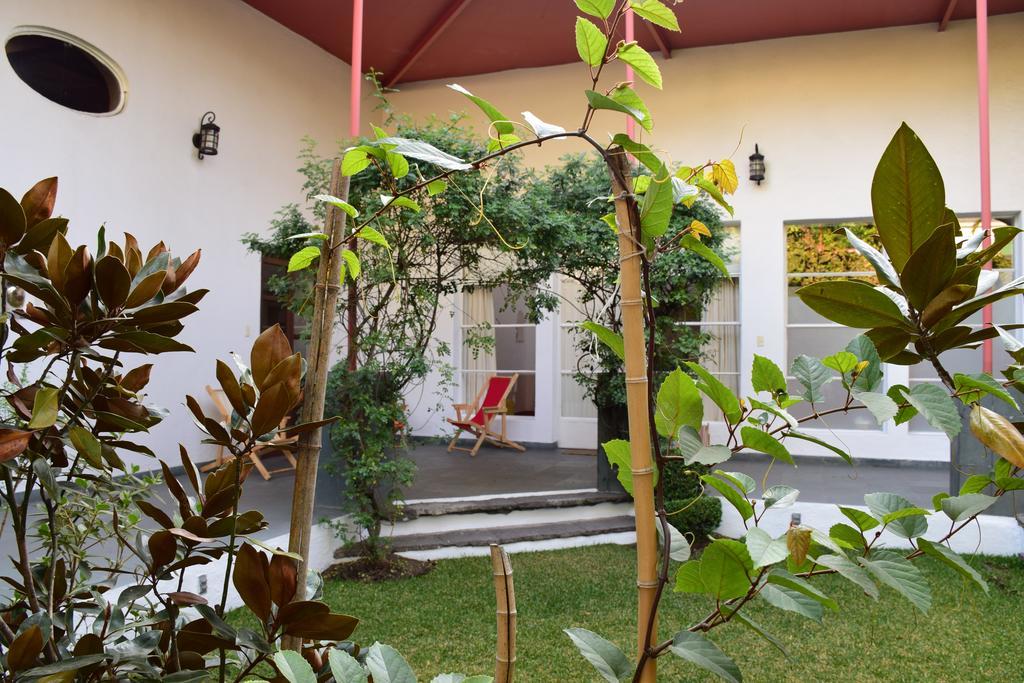 Отель La Casa De Las Magnolias Coyoacan Экстерьер фото