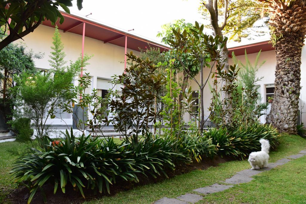 Отель La Casa De Las Magnolias Coyoacan Экстерьер фото