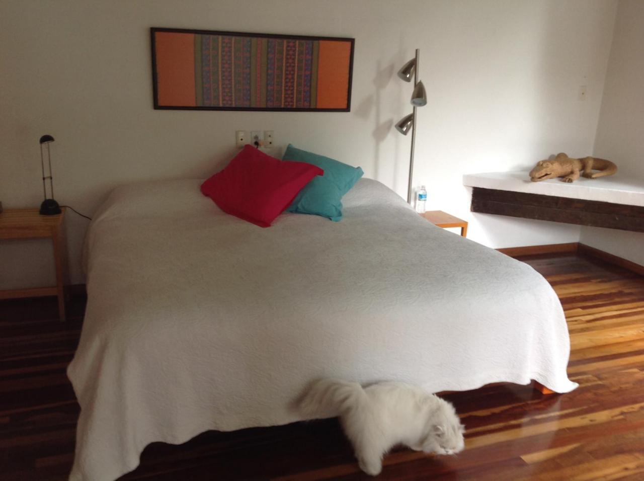 Отель La Casa De Las Magnolias Coyoacan Экстерьер фото